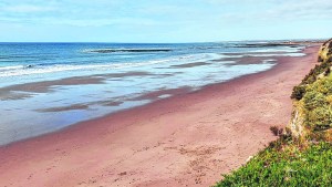 Hora recreativa en SAO: Los miércoles y los domingos serán los días de esparcimiento