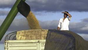 Advierten que hay trabas para la circulación de mercaderías