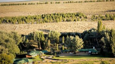 El fuego se extendió sobre pastizales de la Estancia Calcatre, pero no afectó construcciones. (Gentileza).-
