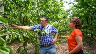 La gobernadora firmó el decreto que busca aliviar a productores y emprendedores. Foto gentileza.