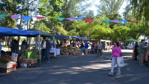 Producción local, lo que impulsa a la economía de Plottier