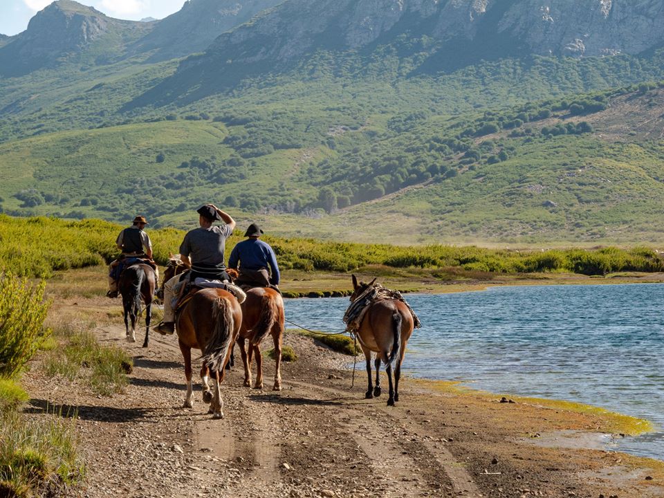 Un grupo de trashumantes que están viajando con sus caballos y burros en la huella de la laguna Vaca Lauquen en el Norte Neuquino. Fotos de Ricardo Kleine Samson.  