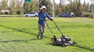 Será reconocida la mujer que  mantiene verde la segunda rotonda de Centenario