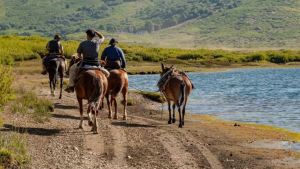 Norte Neuquino: la huella desconocida que te lleva hasta Chile