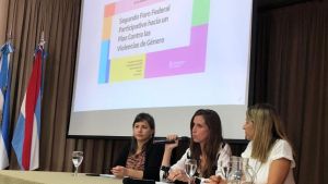 Río Negro y Neuquén  buscarán herramientas contra la violencia de género