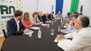 El virus, el petróleo y el Plan Castello