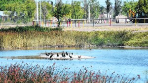Buscan poner en valor la laguna San Lorenzo de Neuquén