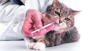 Los riesgos que generan las heridas mal curadas