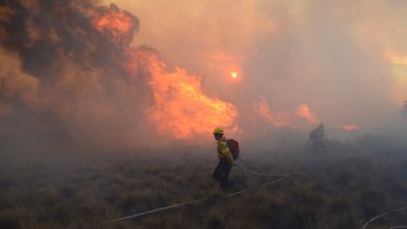 Fuerte incendio forestal en Bariloche. (Foto: Marcelo Martínez)