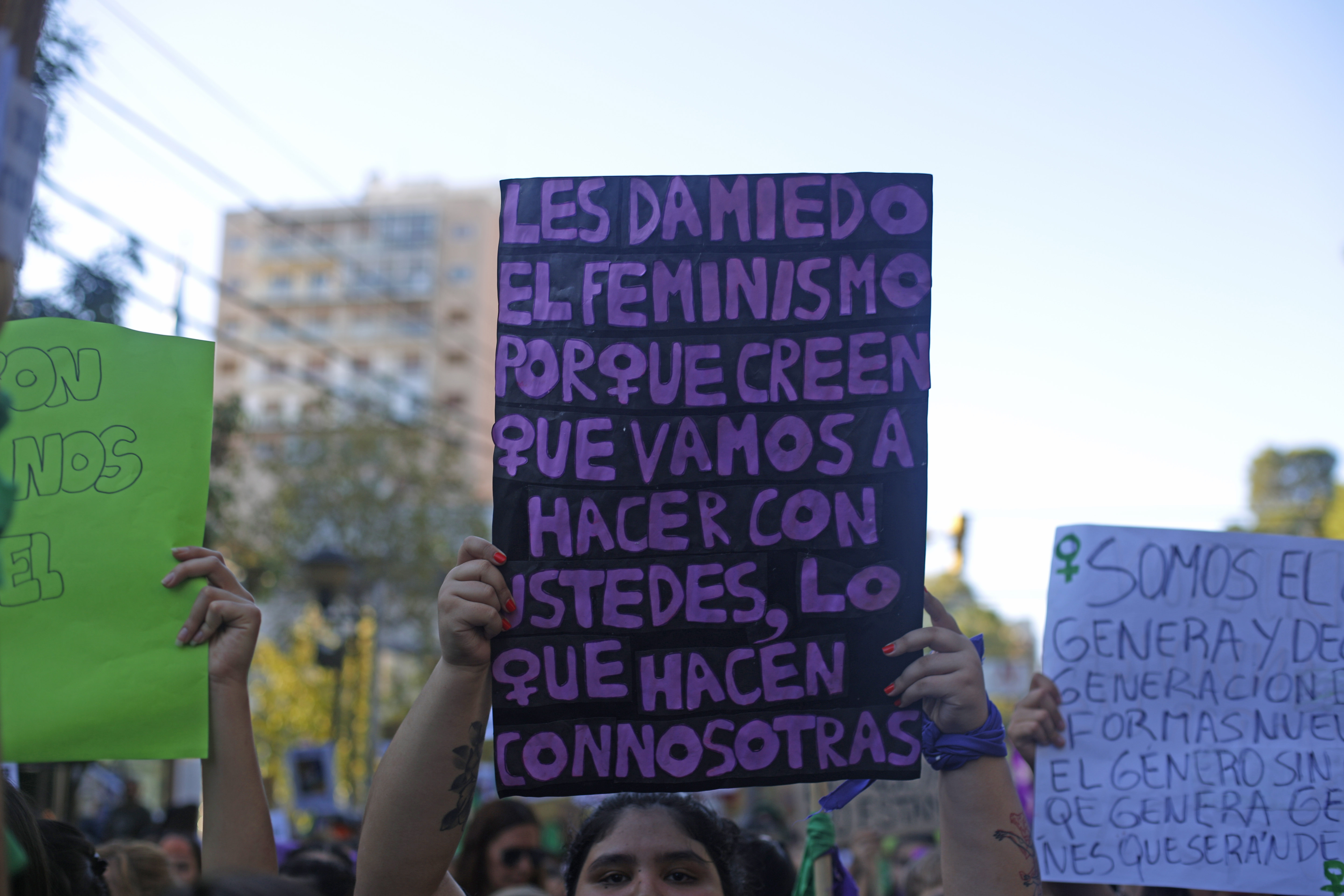 Uno de los carteles que se vio en la última marcha por el 8M en Neuquén. (Foto: Juan Thomes)