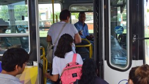 Elecciones 2023: habrá colectivos gratis en Roca para ir a votar este domingo