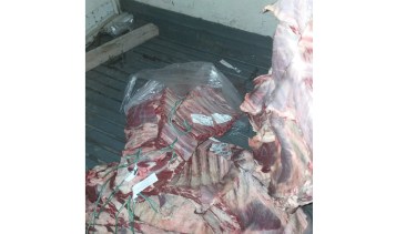 El procedimiento se realizó en la tarde del miércoles en Chichinales. (Foto gentileza)