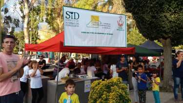 La Fundación Vivir de Regina había programado actividades solidarias para el fin de semana. (Foto archivo)