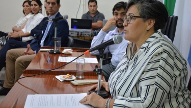 Liliana Martín hizo un repaso de su gestión en la apertura de sesiones del Deliberante