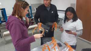 Jacobacci: entregan las primeras máscaras de protección contra el virus