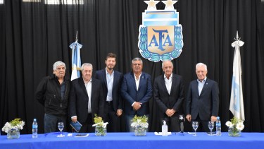 ¿Cómo quedó conformada la AFA?