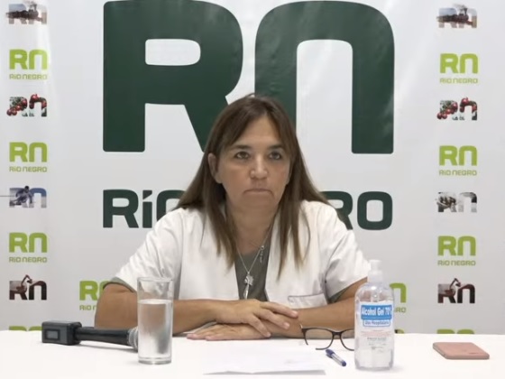 Mercedes Iberó, secretaria del ministerio de Salud. Foto: captura de pantalla.-