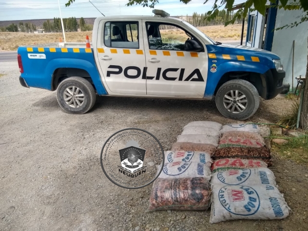 Bajo ciertas condiciones se permite la recolección siempre con guías. Foto Prensa Policía de Neuquén