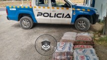 Imagen de Habían juntado 100 kilos de piñones y se los decomisaron