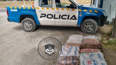 Bajo ciertas condiciones se permite la recolección siempre con guías. Foto Prensa Policía de Neuquén
