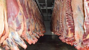 Denuncian despidos en el Frigorífico de Senillosa