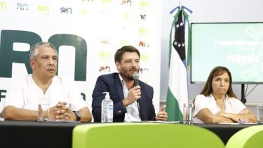 El ministro de Gobierno y Comunidad, Rodrigo Buteler, junto a la secretaria de Políticas Públicas de Salud, Mercedes Ibero. 