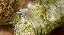 Imagen de Receta con historia: germinados de Sebastián