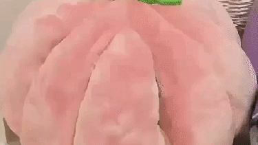 Pronóstico: así se viene este viernes en la región