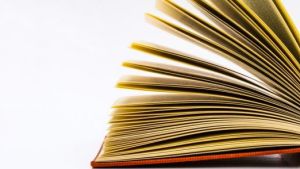 «Monos negros invisibles», un cuento inédito de Cristian Carrasco