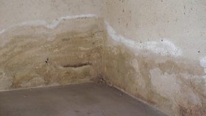 Qué hacer para mitigar la humedad en paredes