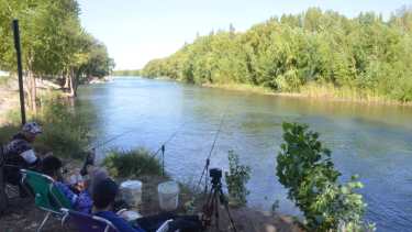 En las islas existen frutales y algunas plantas autóctonas de las riberas. (FOTO: Yamil Regules)