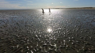 Es un paseo atractivo ideal para los que gustan de las aventuras.