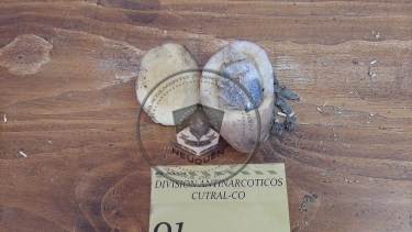 Quisieron pasar marihuana  en el interior de una papa en cárceles de Cutral Co y Zapala