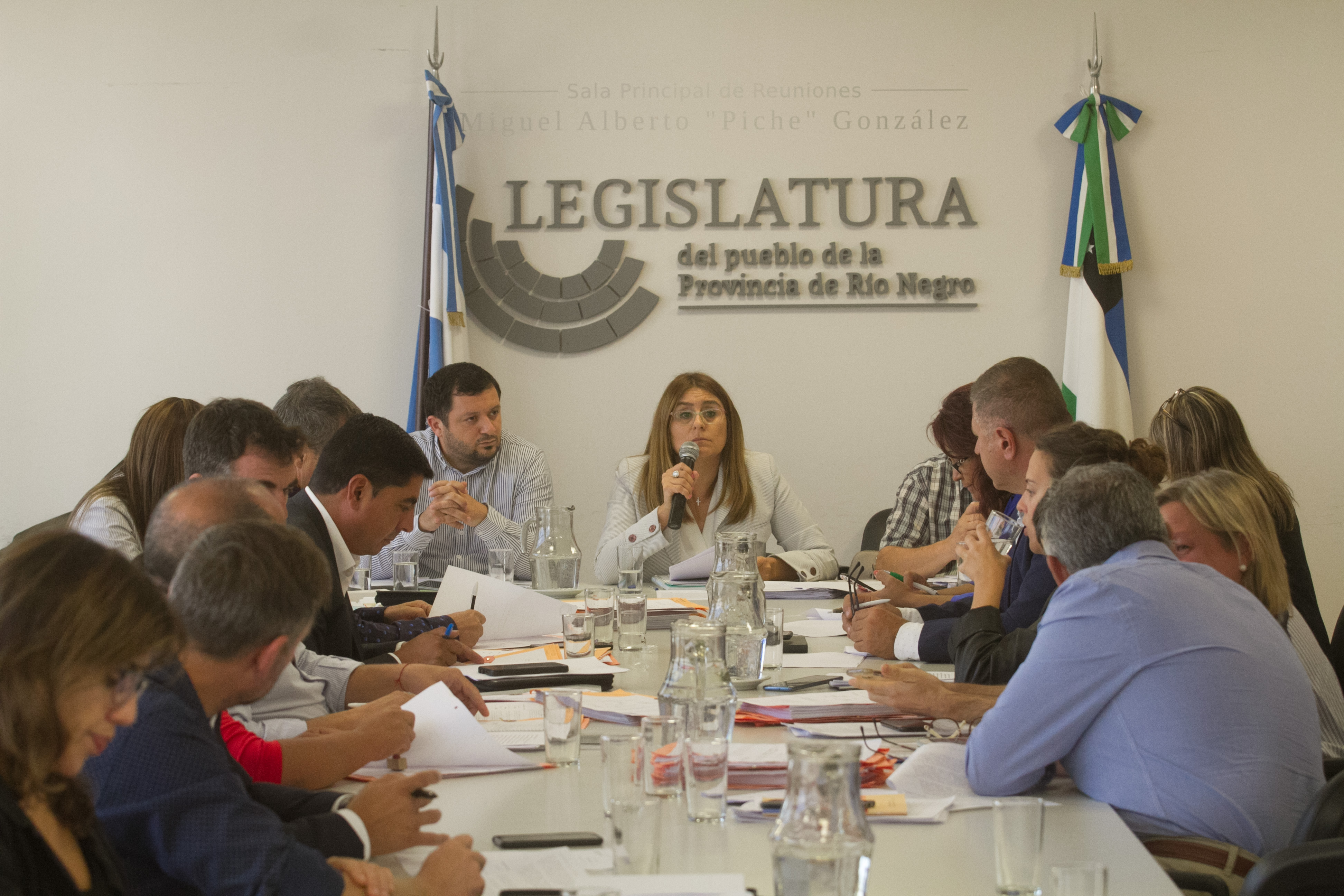 Esta semana las comisiones definieron autoridades. Marcela Ávila quedó al frente de Presupuesto.