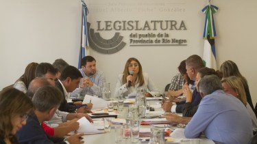 Esta semana las comisiones definieron autoridades. Marcela Ávila quedó al frente de Presupuesto.