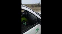 Imagen de Video: despidieron a un trabajador de Aguas Rionegrinas por cazar en una camioneta oficial