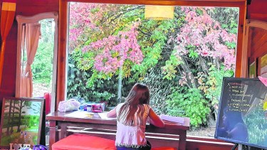 Andrea Alejandra: la escuela vino a casa. Nunca imaginé que estudiando en el living de casa podríamos disfrutar de las bellezas del otoño.  