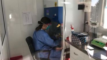 Se realizan las primeras pruebas con muestras positivas de coronavirus. Foto: gentileza