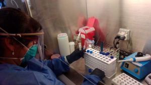 Ya se realizan los testeos por coronavirus en Bariloche