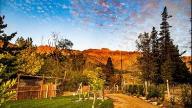 Liliana Chiofalo: de cara al corona, en casa 29/3/2020, 17:30 hs.