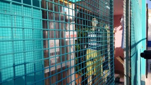 En Cutral Co clausuraron comercios por no respetar el aislamiento