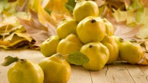 Época de membrillos: dos recetas para aprovecharlos