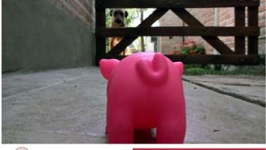 Entre las propuestas, una muy original se denominó “Taza Taza, Microrrelatos desde la casa”. En este caso, la pieza se tituló “Faura que me habita” y es anónima.