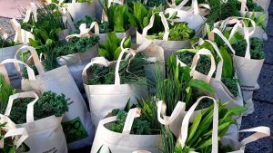 Alimentos sanos y frescos para consumir en cuarentena