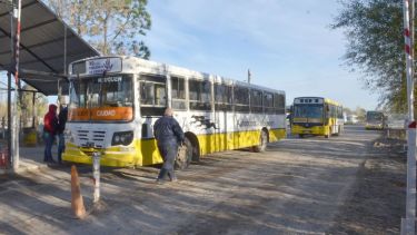 La base de Autobuses Neuquén. Foto: Yamil Regules