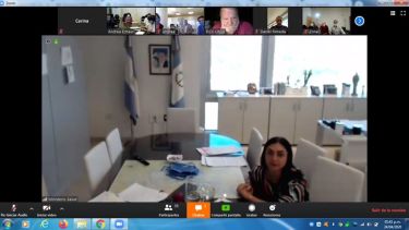 La ministra de Salud de Neuquén, Andrea Peve, en una de las reuniones del comité de emergencia sanitaria. Foto Neuquén Informa