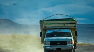 Historias de cuarentena: este criancero de Jacobacci logró  ponerse al día para poder transitar