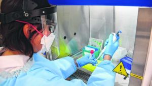 Coronavirus: son 241 las personas fallecidas en todo el país y más de 1300, las dadas de alta