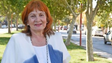 La diputada por Río Negro integra la comisión de Educación. Foto: archivo. 