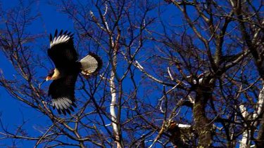 National Geographic es uno de los organizadores. Foto: archivo
